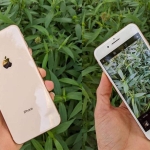 Iphone 8 plus