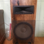 Loa bose 301