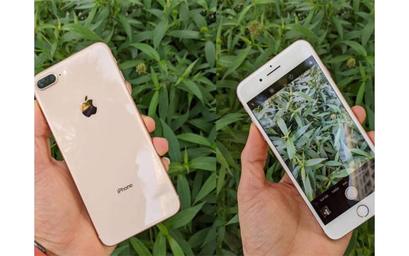 Iphone 8 plus
