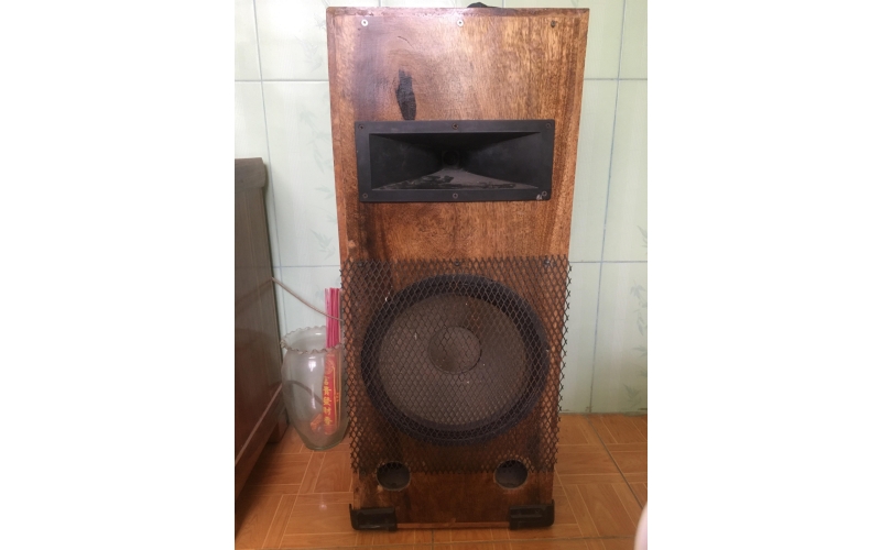 Loa bose 301